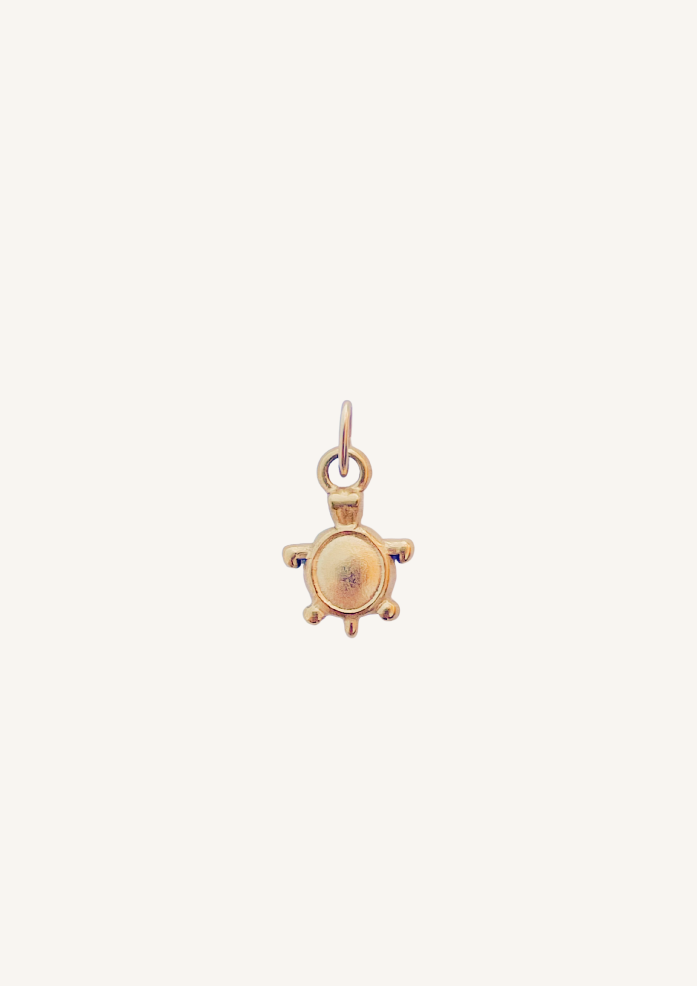 Lucky turtle Charm