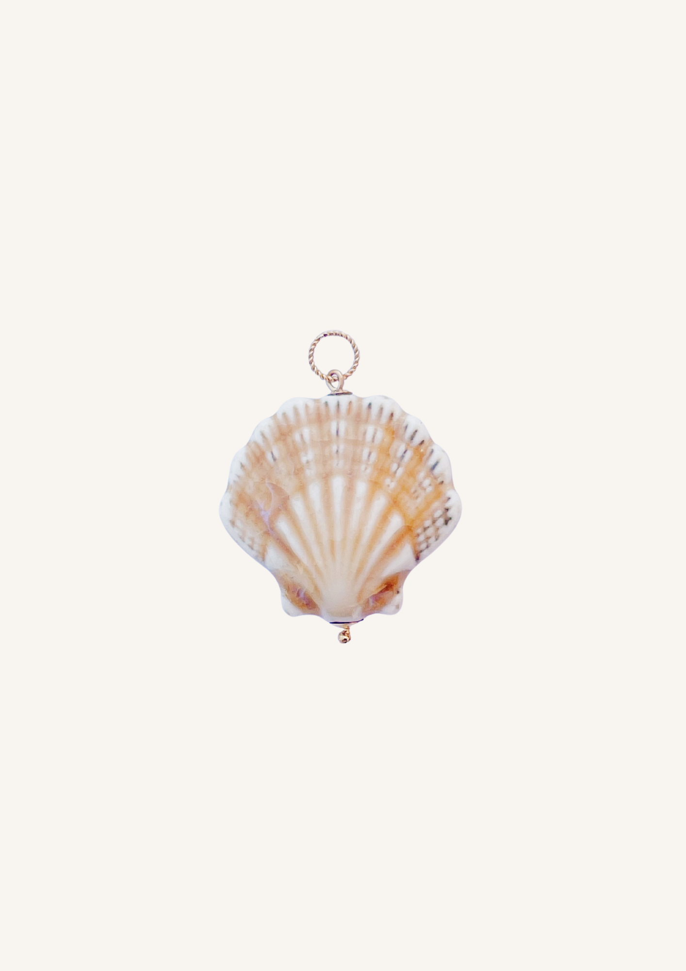 Big shell Charm