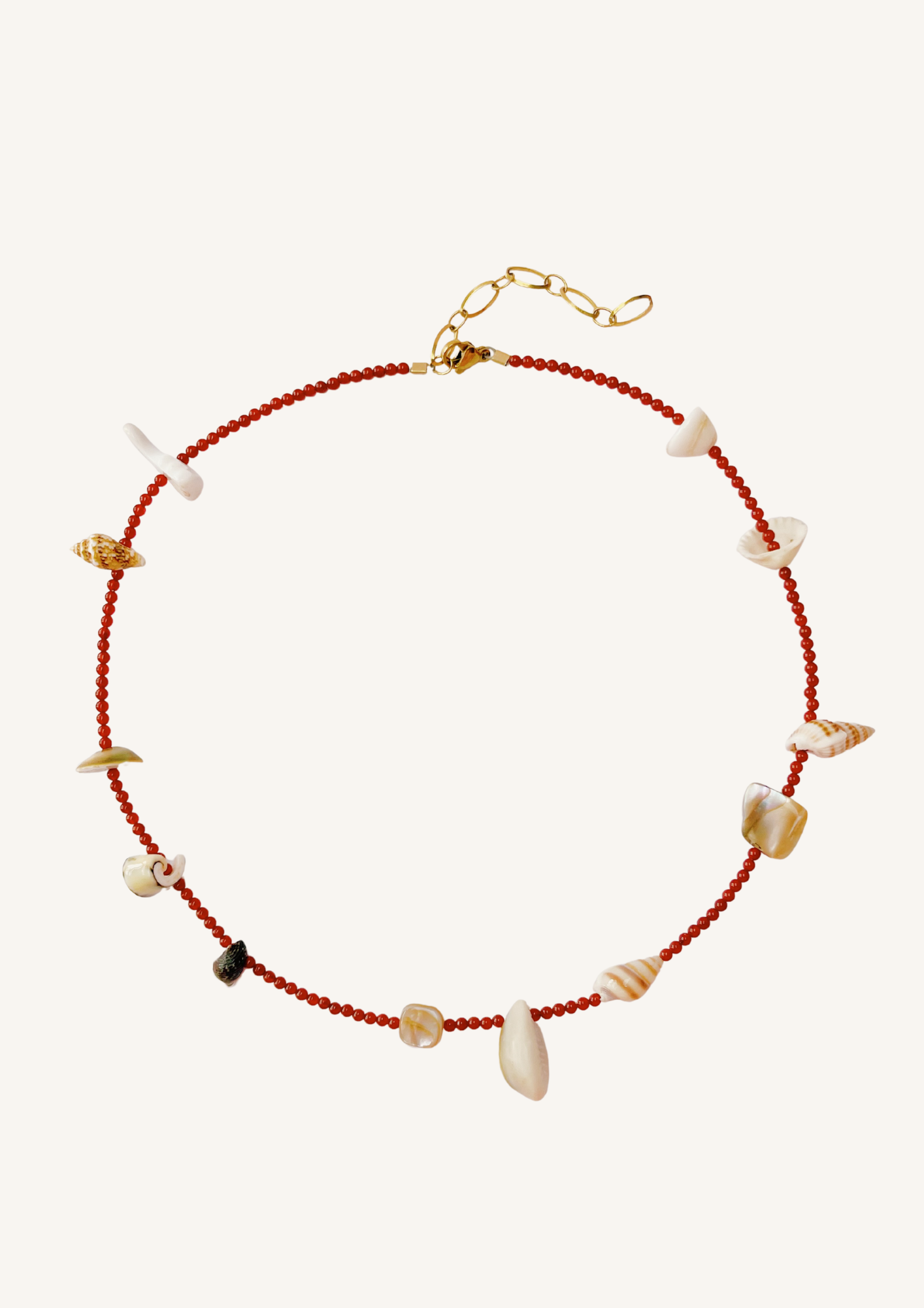 Carnelian shell Necklace