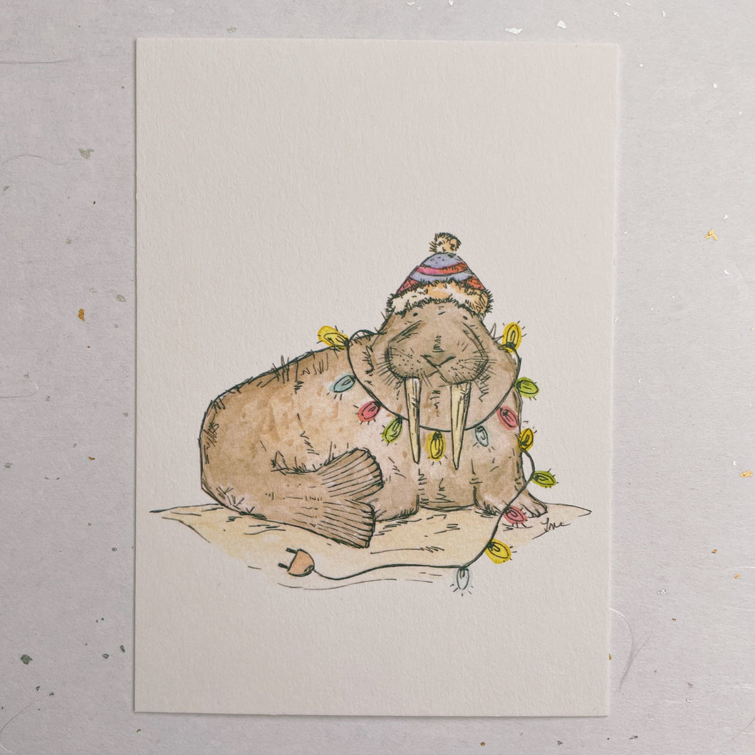 Christmas card Walrus