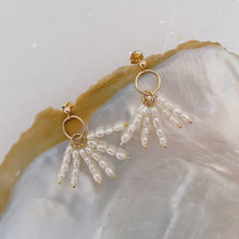 Load image into Gallery viewer, Snow christal Earrings
